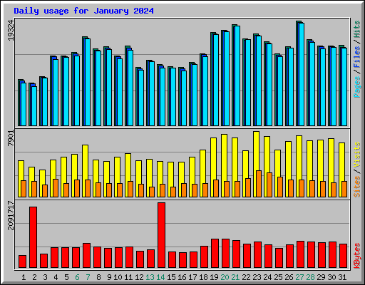 Daily usage for January 2024