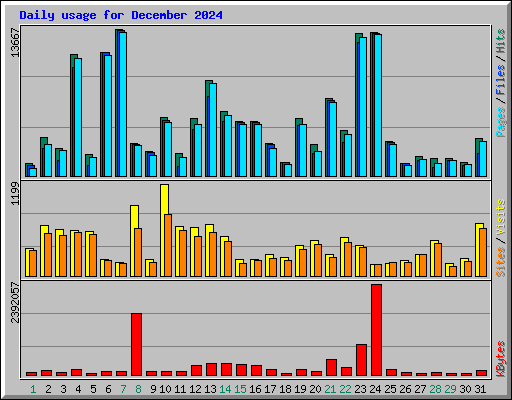 Daily usage for December 2024