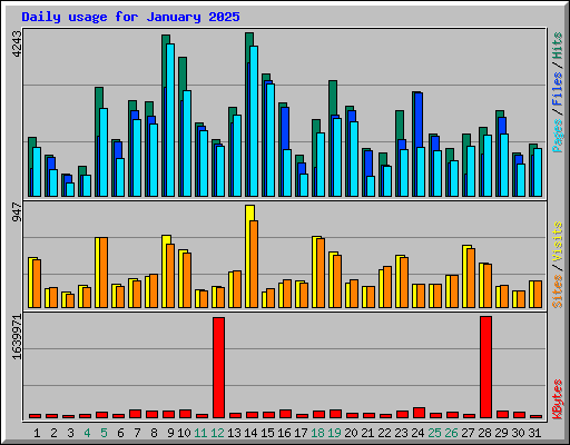 Daily usage for January 2025