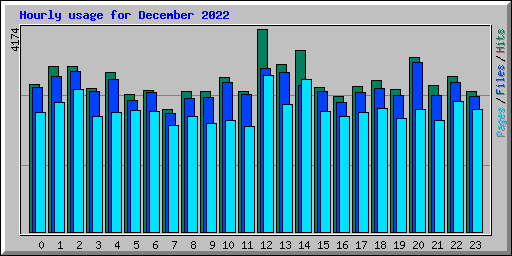 Hourly usage for December 2022