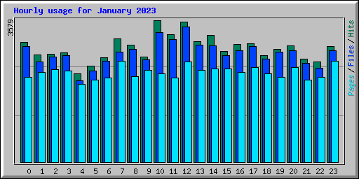 Hourly usage for January 2023