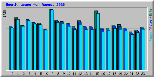 Hourly usage for August 2023