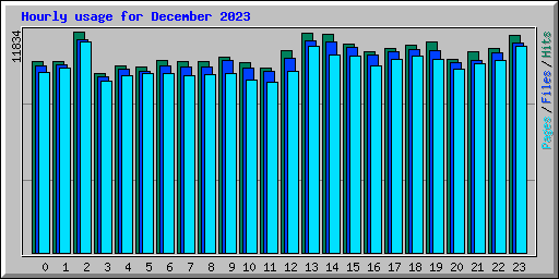 Hourly usage for December 2023