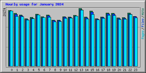 Hourly usage for January 2024