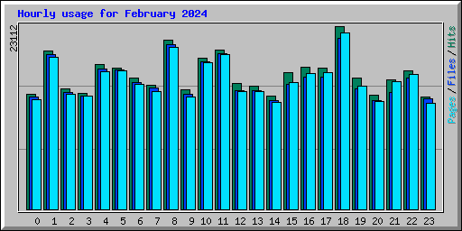 Hourly usage for February 2024
