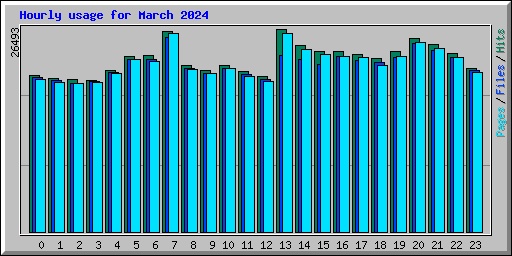 Hourly usage for March 2024