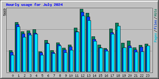 Hourly usage for July 2024