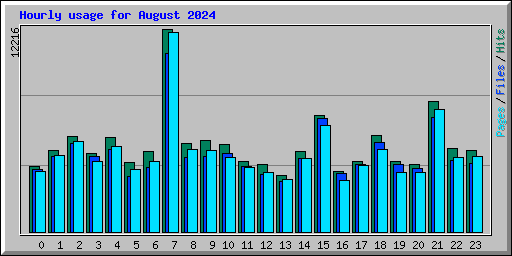 Hourly usage for August 2024