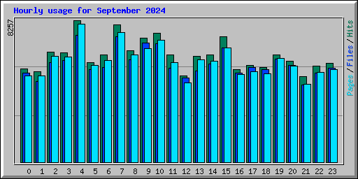 Hourly usage for September 2024