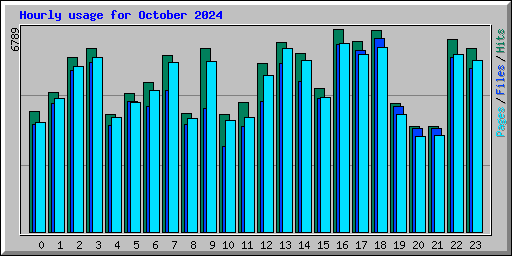 Hourly usage for October 2024