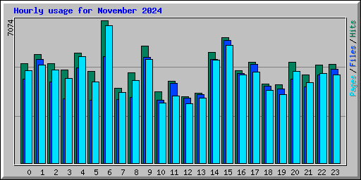 Hourly usage for November 2024