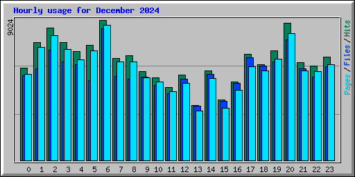 Hourly usage for December 2024
