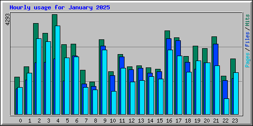 Hourly usage for January 2025