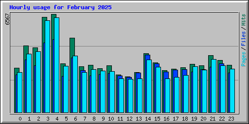 Hourly usage for February 2025