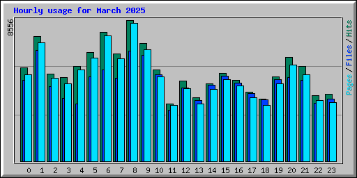 Hourly usage for March 2025