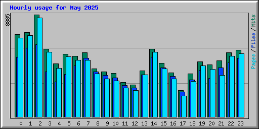 Hourly usage for May 2025