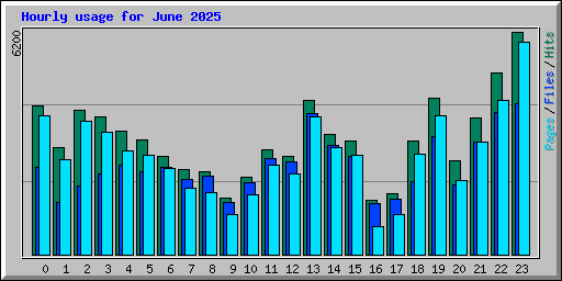 Hourly usage for June 2025